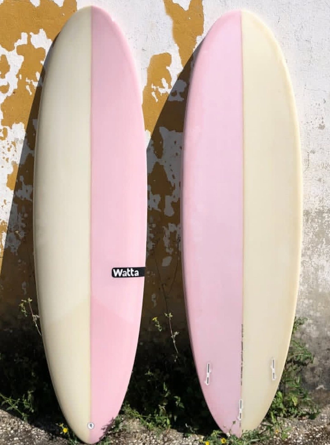 A Evolution Funboard, foto 2